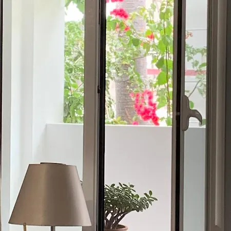 - Sao Pedro Boutique 公寓 丰沙尔