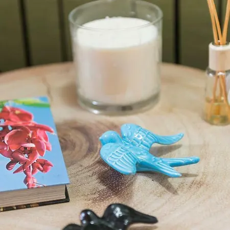 - Sao Pedro Boutique Appartement Funchal (Madeira)